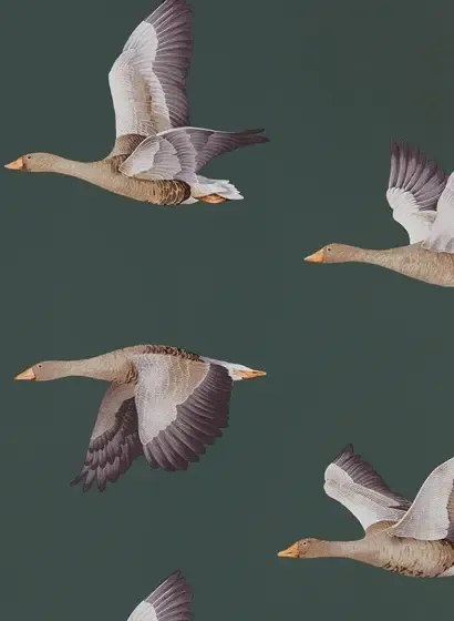 Gänse Tapete Elysian Geese von Sanderson - Amsterdam Green
