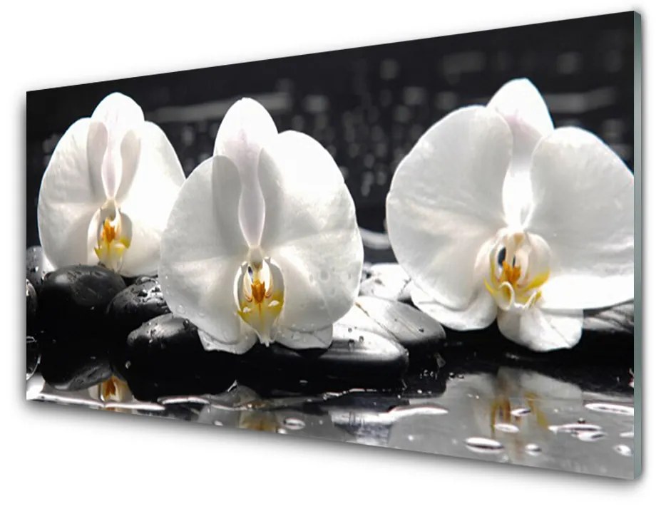 Quadro acrilico Fiore di orchidea bianca 100x50 cm 2 appendini