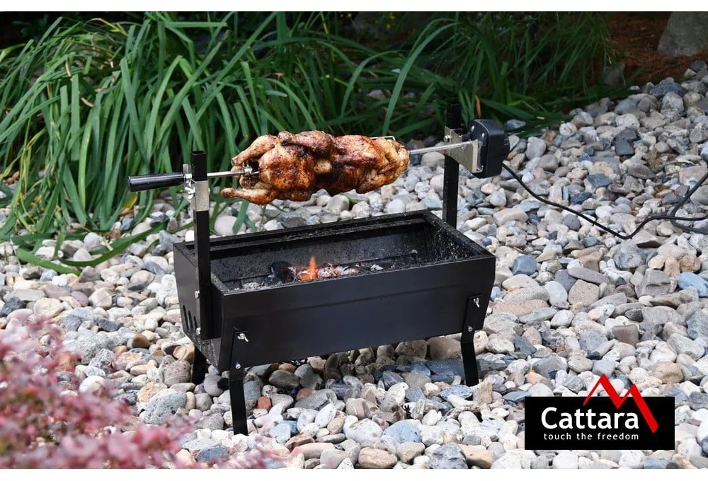 Griglia con motore, lunghezza 60 cm Barbecue - Cattara