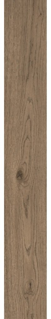 Marazzi Group Rettificato 20x150 "Vivo" Tabacco