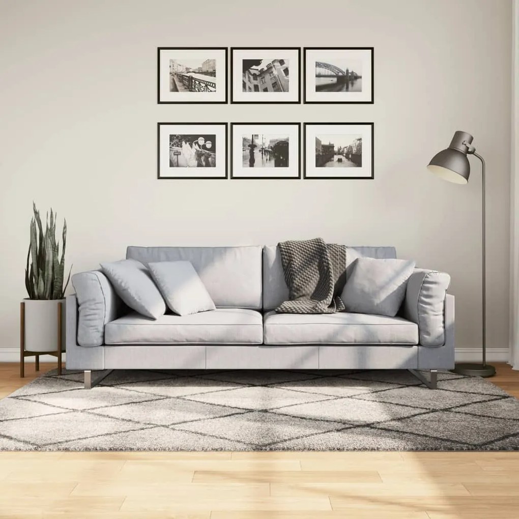 Tappeto Shaggy Pamplona Pelo Lungo Beige E Antracite 140x200cm /