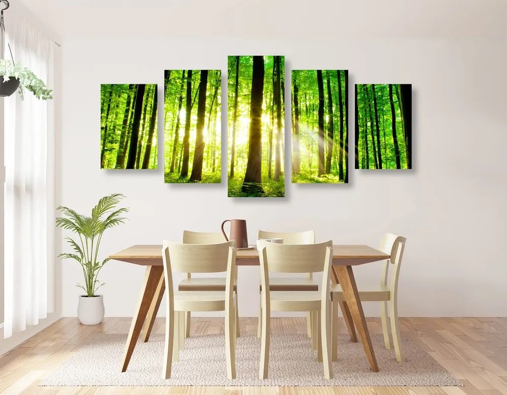 Quadri 5 pezzi – Foresta verde fresca