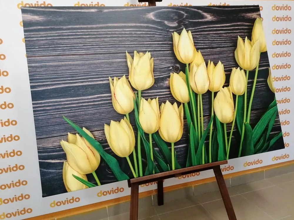Quadro su tela – Incantevoli tulipani gialli su sfondo di legno