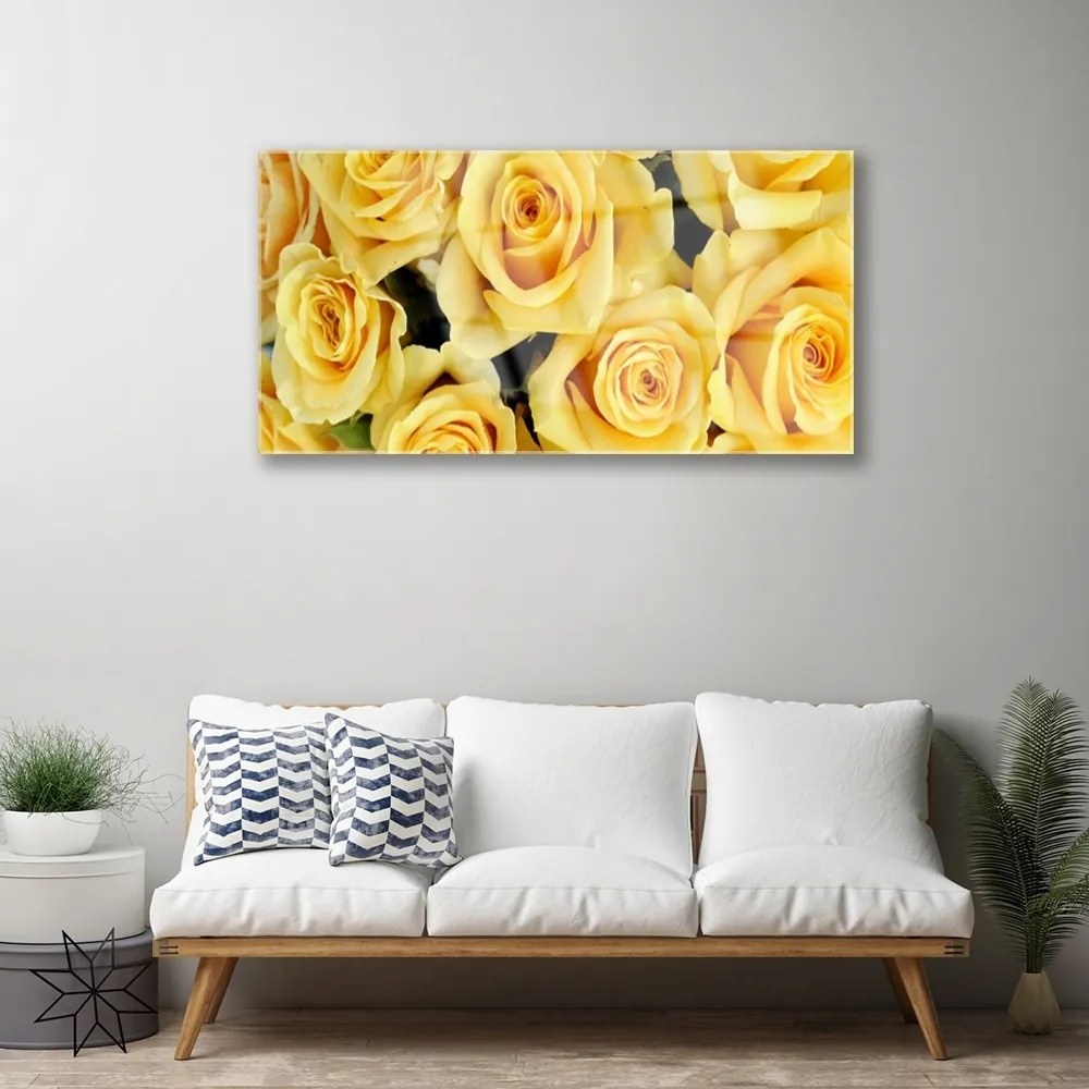 Quadro su vetro acrilico Rose, fiori, piante 100x50 cm