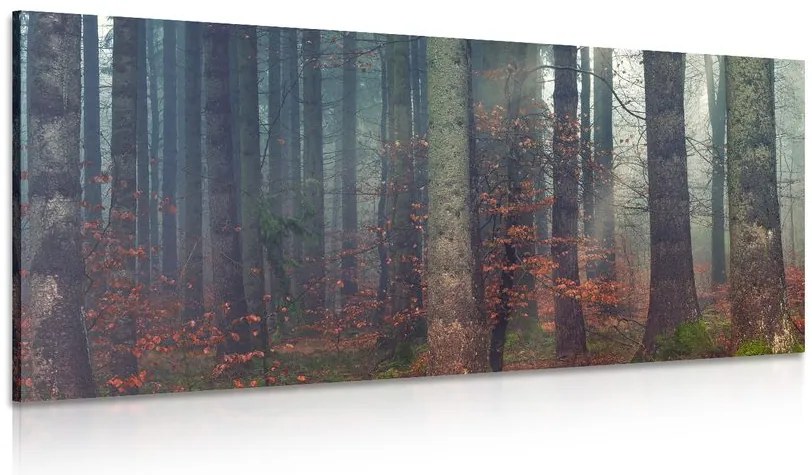 Quadro su tela – Mistero della foresta