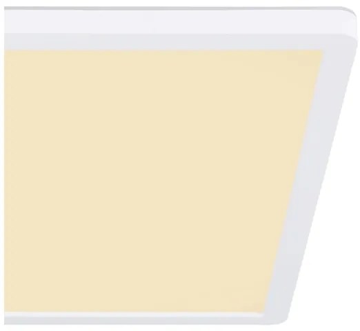 Globo 41563-18W - Plafoniera LED da bagno SAPANA LED/18W/230V IP44