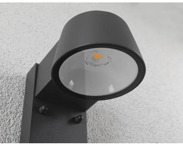 Paulmann 94714 - LED/6W IP44 Applique da esterno con sensore CAPERA 230V