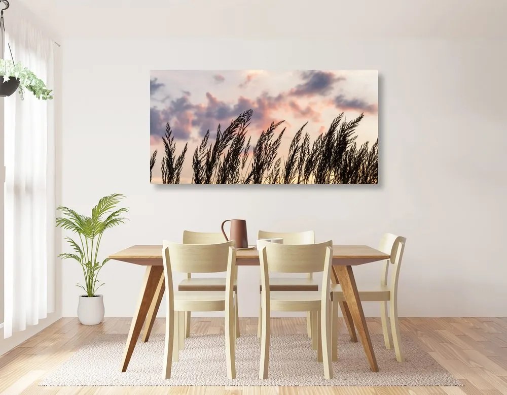 Stampa su tela – Erba al tramonto