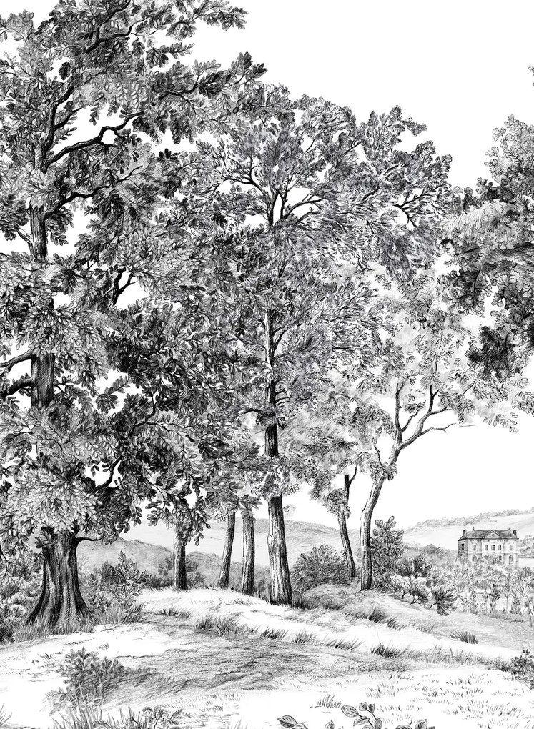 Isidore Leroy Carta da parati panoramica Domaniale - Panel A