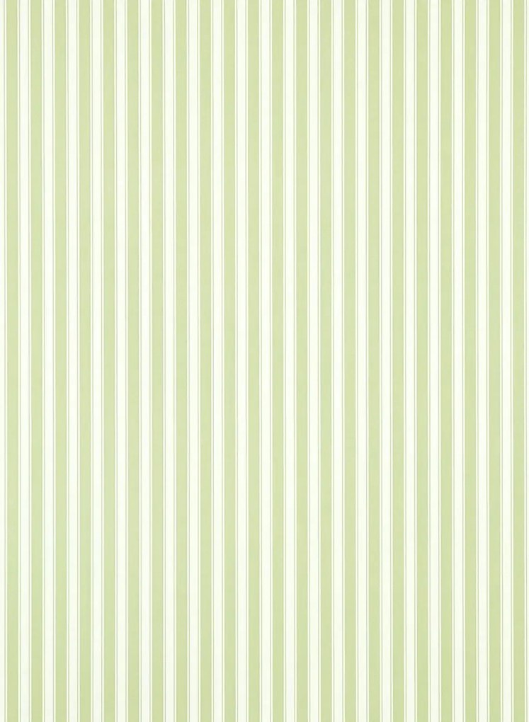 Sanderson Tapete New Tiger Stripe - Leaf Green/ Ivory