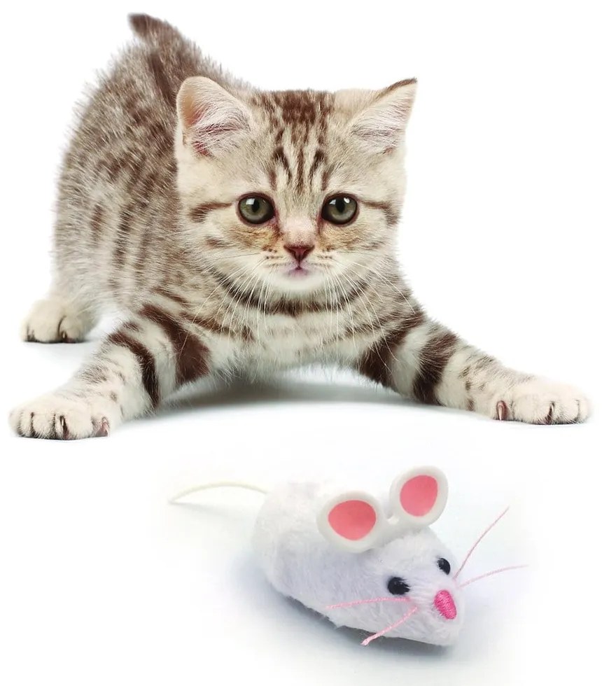 Mouse robotico per gatti - HEXBUG