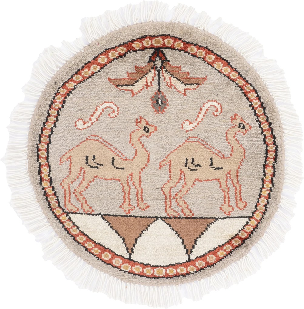 Agra Tappeto orientale 50x50 (Indian) Annodato A Mano