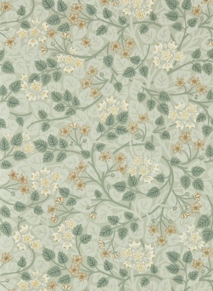 Sanderson Carta da parati Silver Lime - Nymph
