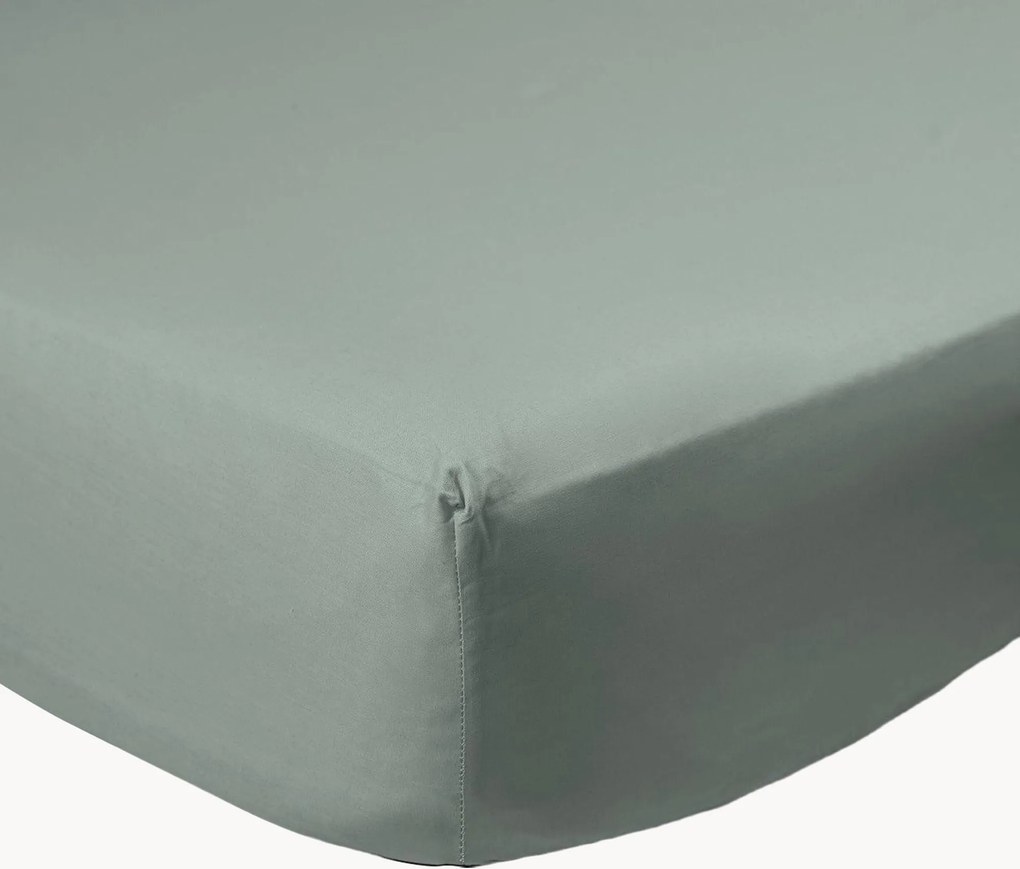 Lenzuolo con angoli boxspring in cotone percalle Sage