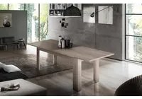 Tavolo per sala da pranzo estensibile, Made in Italy, Tavolo moderno con allunghe, Consolle allungabile, cm 160/210x90h75, Olmo perla