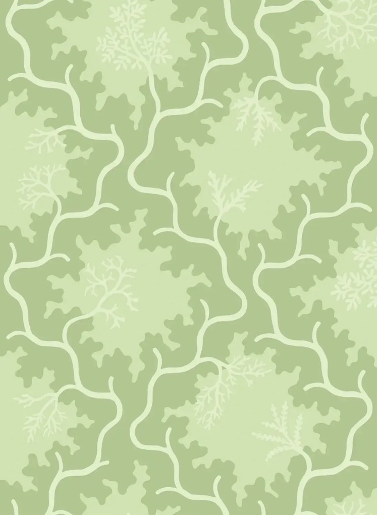 Cole & Son Carta da parati Moss Trellis - Matcha and Pistachio Green