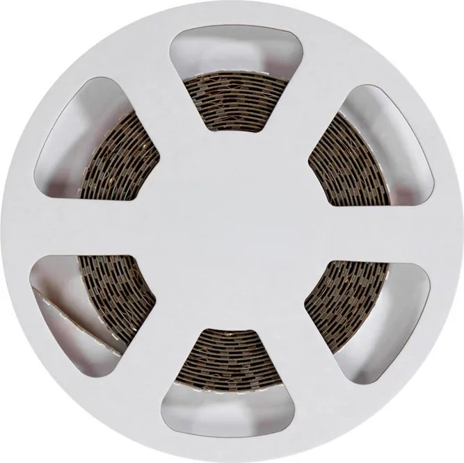 Striscia LED 24V 144W/m per Frutta e Verdura Professionale IP54 - 5 metri