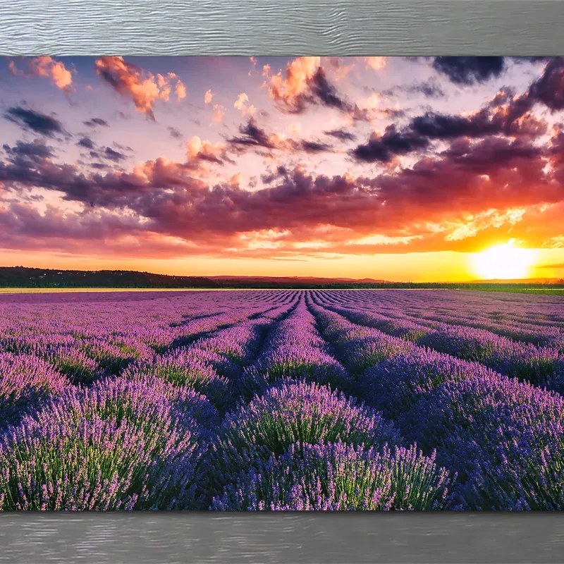 Stampa incorniciata su tela Lavanda multicolore 136 x 76 cm