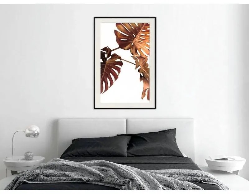 Poster Copper Monstera