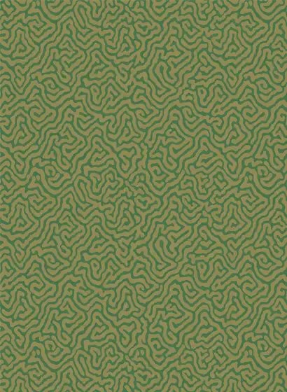 Cole & Son Carta da parati Vermicelli - Green/ Gold
