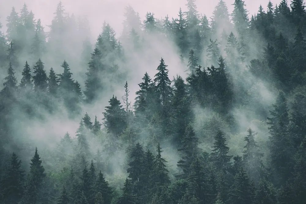 Quadro su tela – Montagne nella nebbia