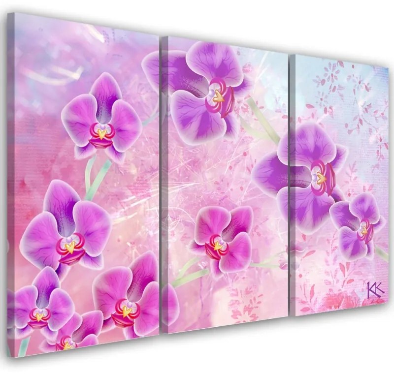 Quadro su tela 3  pannelli, Astrazione dei fiori di orchidea  Dimensioni 120x80