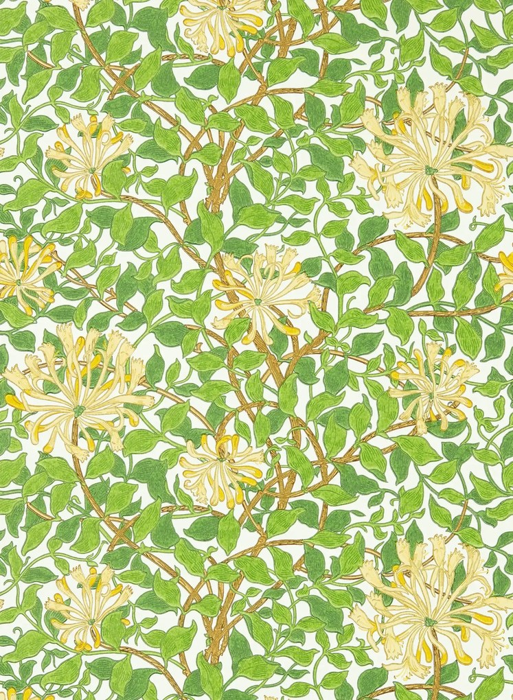 Morris & Co Carta da parati Honeysuckle - Cream/ Chocolate