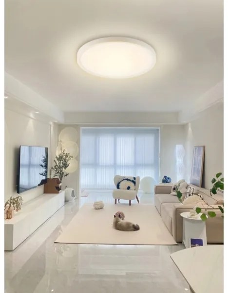 Immax NEO 07169-W60 - LED RGB Lampada dimmerabile TUDO 65W/230V Wi-Fi Tuya + +TC