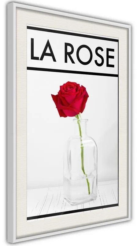 Poster Rose in the Vase