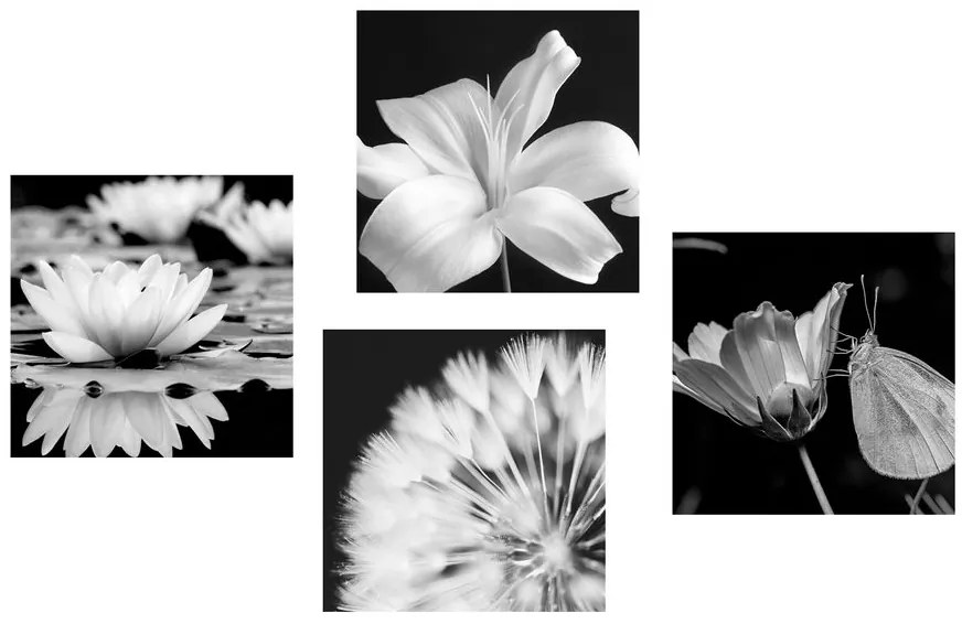 Set di quadri – Fiori con farfalla in bianco e nero