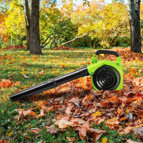 Fieldmann - Aspiratore da giardino a benzina 800W