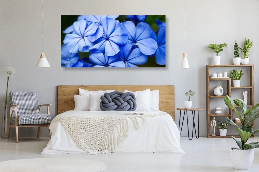 Stampa su tela – Fiori blu pittoreschi