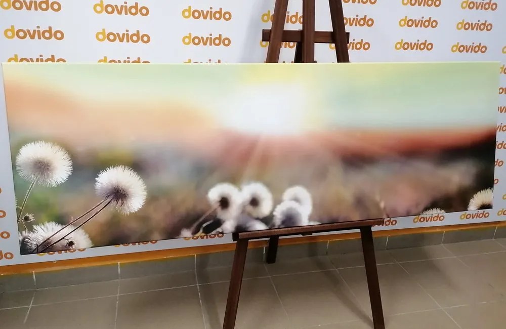 Quadro su tela – Panorama di prato fiorito