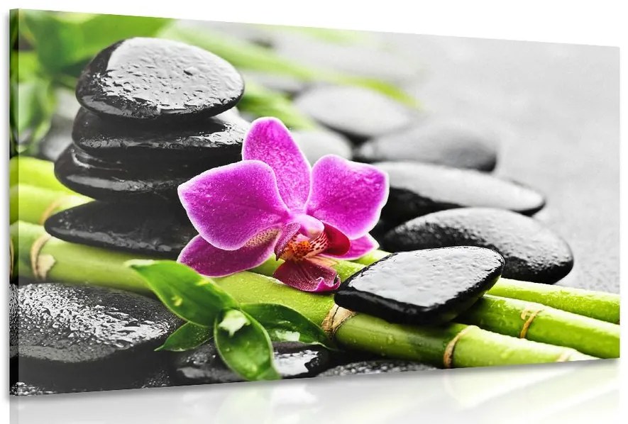 Stampa su tela – Natura morta Spa con orchidea viola