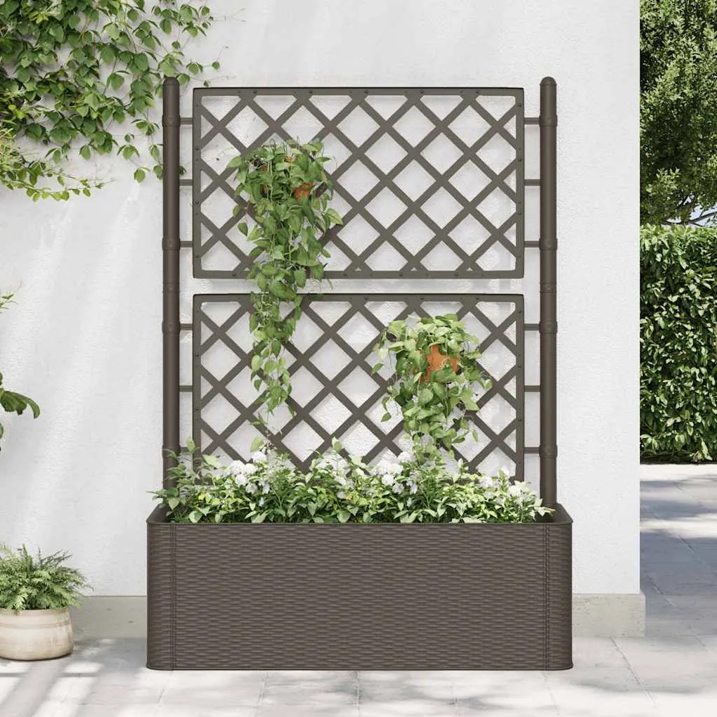 Letto Rialzato Da Giardino Con Graticcio E Irrigazione Moca /