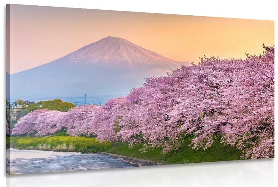 Stampa su tela – Vulcano Fuji del Giappone