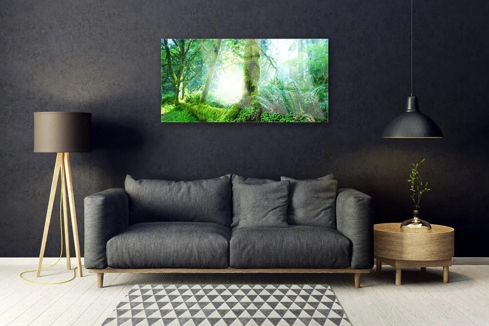 Quadro acrilico Foresta della natura del muschio 100x50 cm