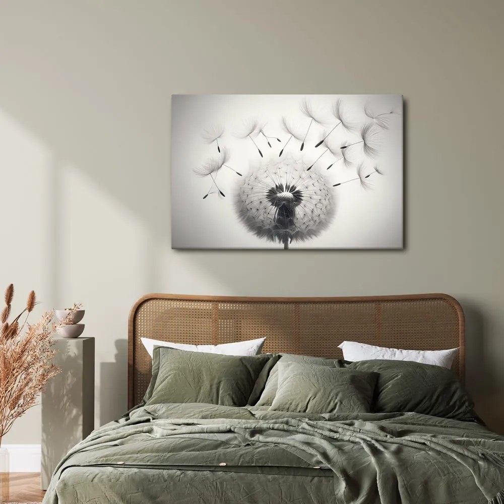 Quadro su tela – Soffione bianco e nero
