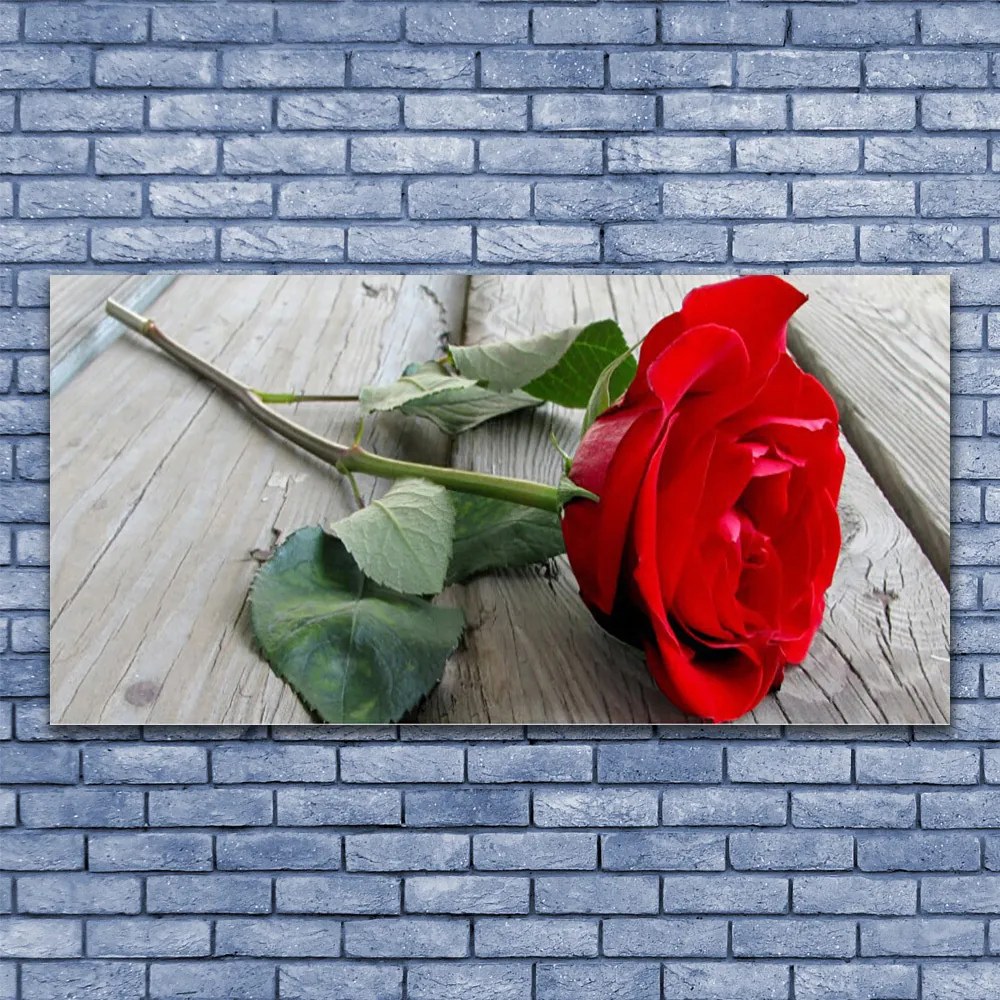 Foto quadro su tela Fiori di rose 100x50 cm