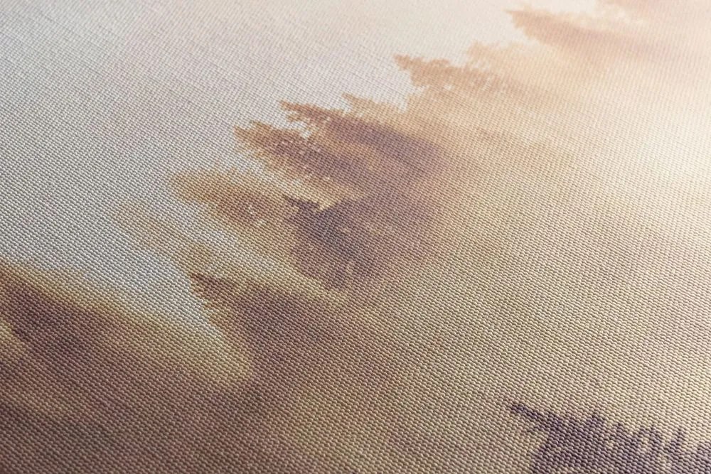 Stampa su tela – Nebbia sopra la foresta