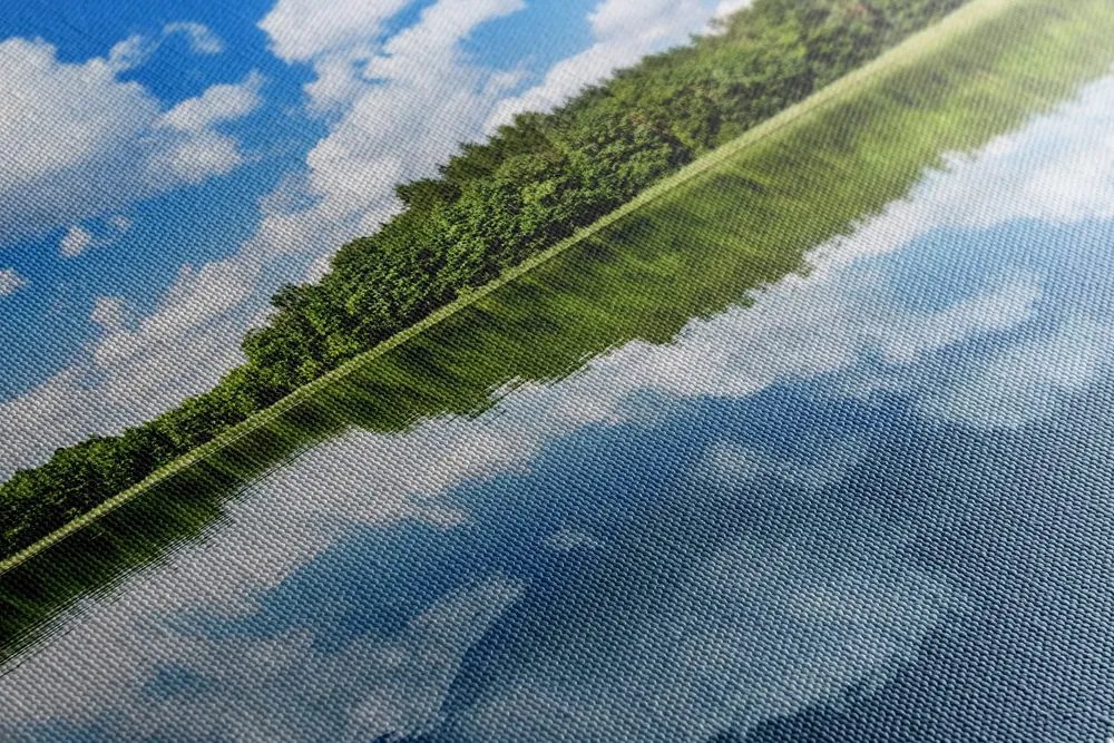 Stampa su tela – Natura in estate