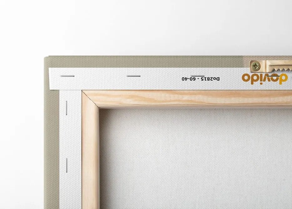Quadro su tela – Japandi bellezza femminile