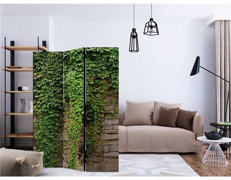 Paravento  Ivy wall [Room Dividers]  Colore ---, Dimensioni e Misure 135x172