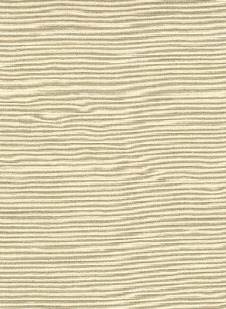 Arte International Carta da parati Agave - Natural