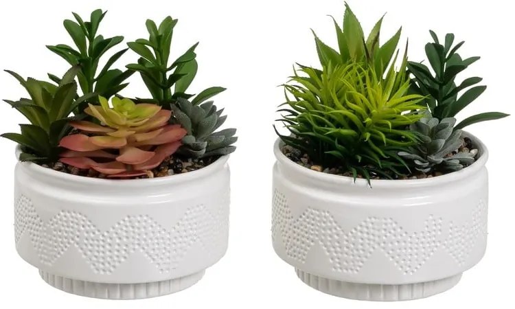 Piante artificiali in set da 2 (altezza 19 cm) Cactus - Casa Selección