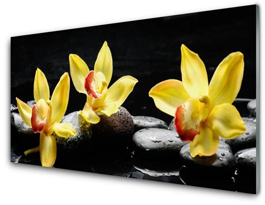 Quadro su vetro acrilico Pianta dell'orchidea del fiore 100x50 cm