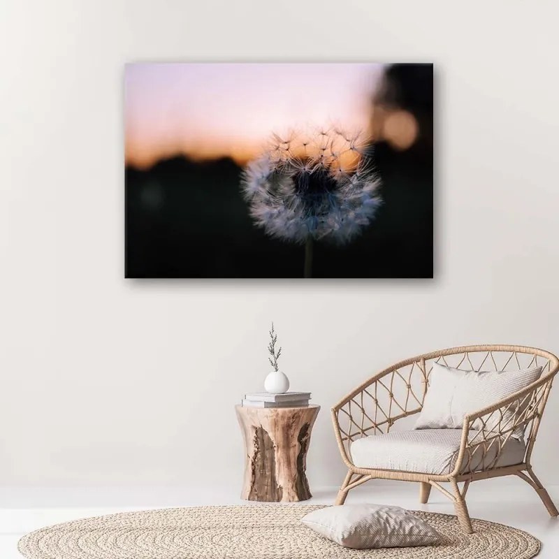 Quadro su tela, Denti di leone al tramonto  Dimensioni Tappeti 60x40