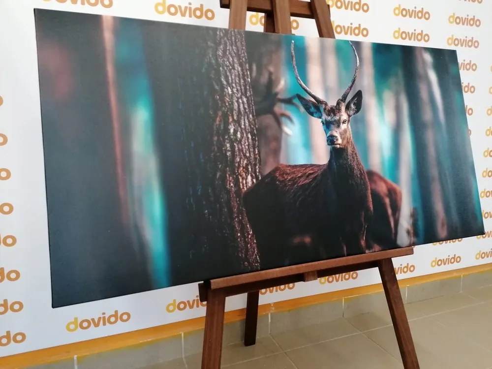 Quadro su tela – Cervo nel bosco