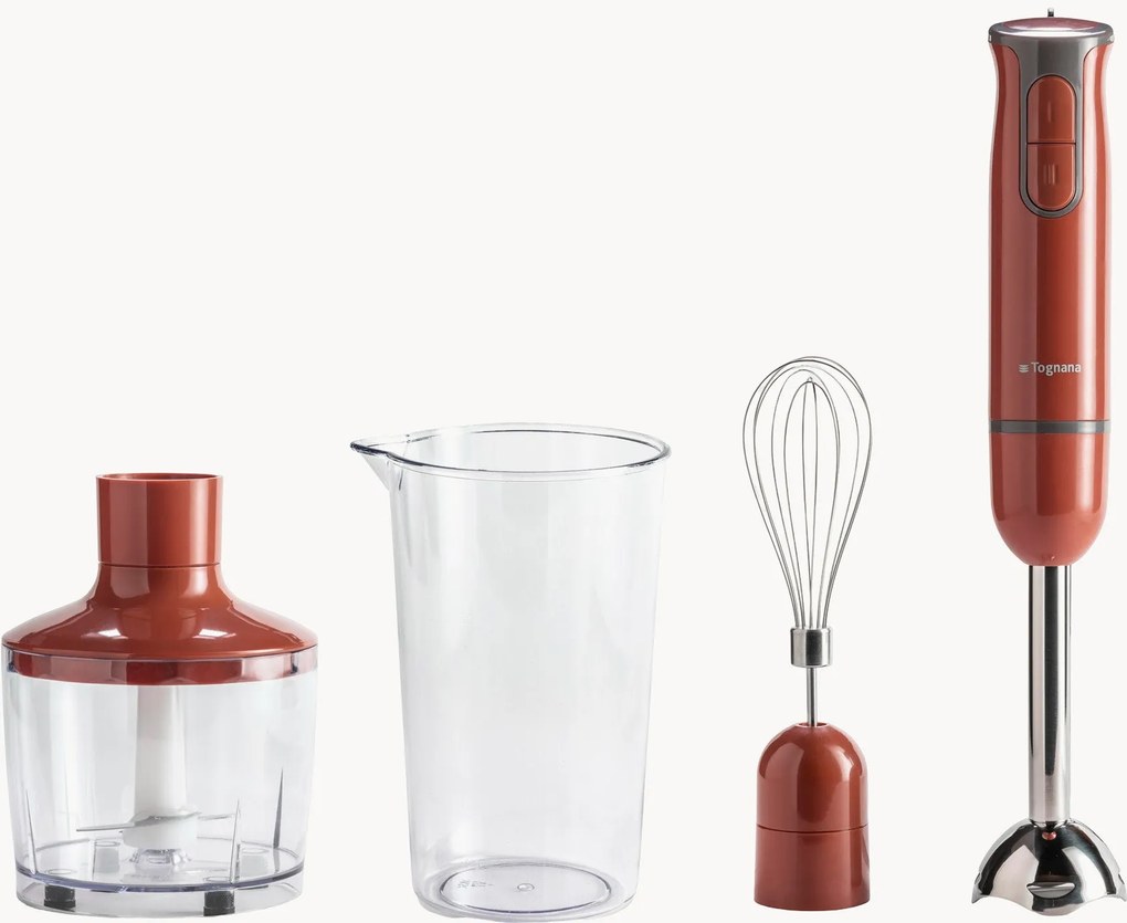 Frullatore immerso Iridea