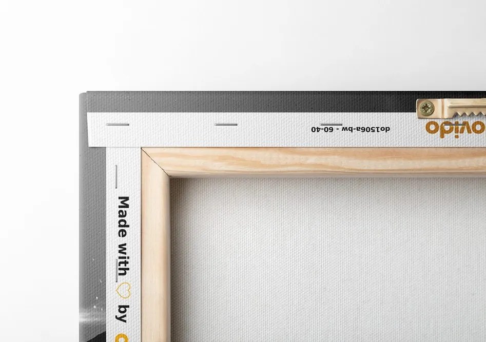 Quadro su tela – Paesaggio futuristico in bianco e nero